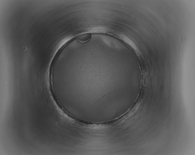 X0000112031087200908171446