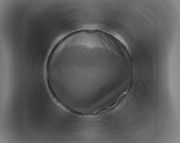 X0000112031088200908171446
