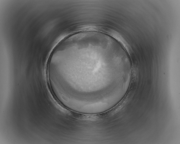 X0000112031090200908171446