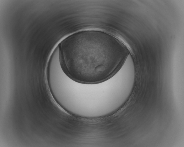 X0000112031092200908171446
