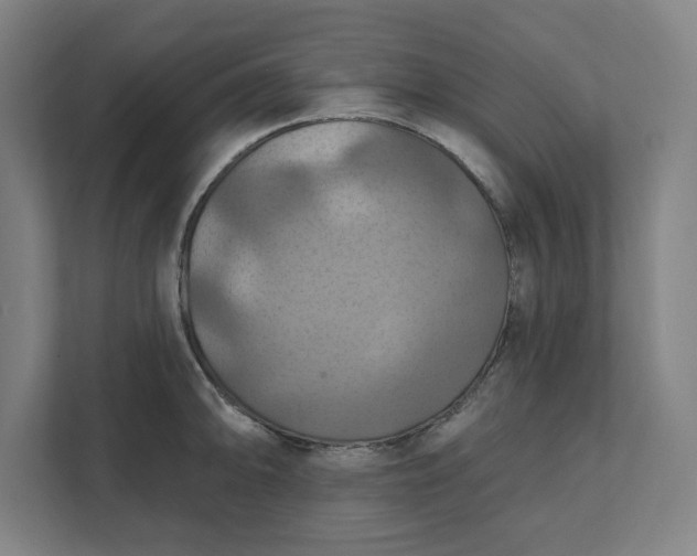 X0000112031094200908171446