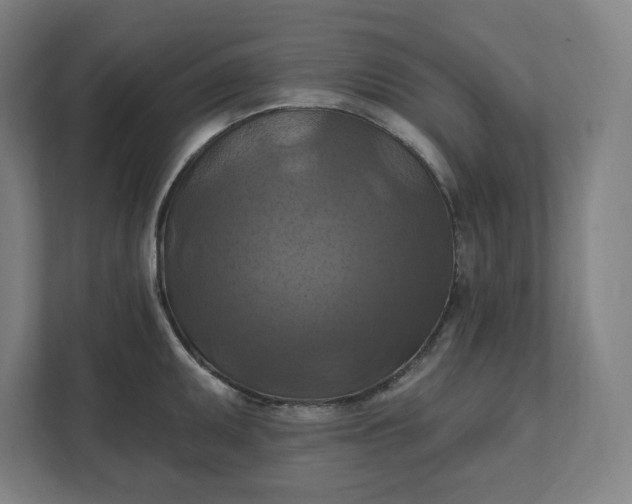 X0000112031095200908171446