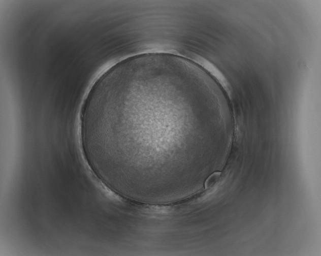 X0000112031096200908171446