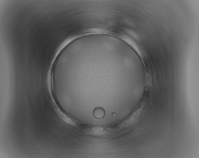 X0000112031098200908171446