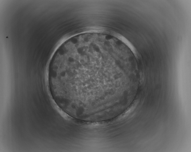 X0000112031099200908171446