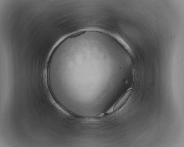 X0000112031100200908171446