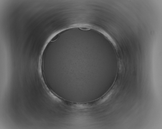 X0000112031102200908171446