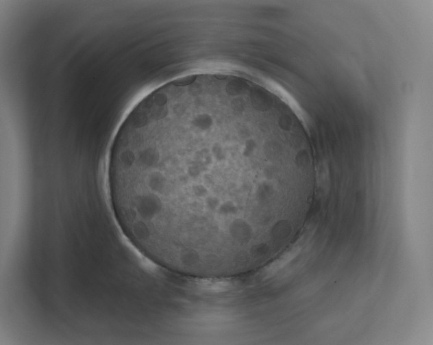 X0000112031103200908171446