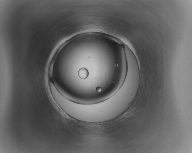 X0000112031104200908171446