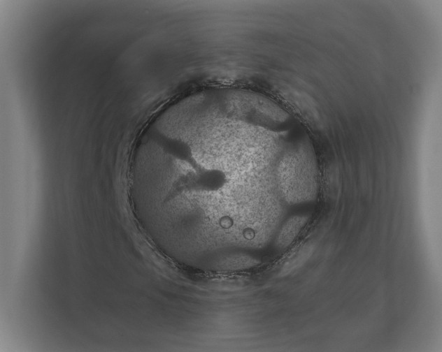 X0000112031105200908171445