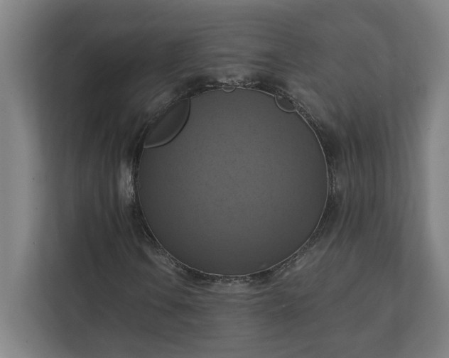 X0000112031106200908171445