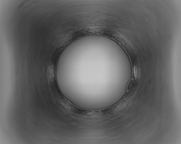 X0000112031107200908171445