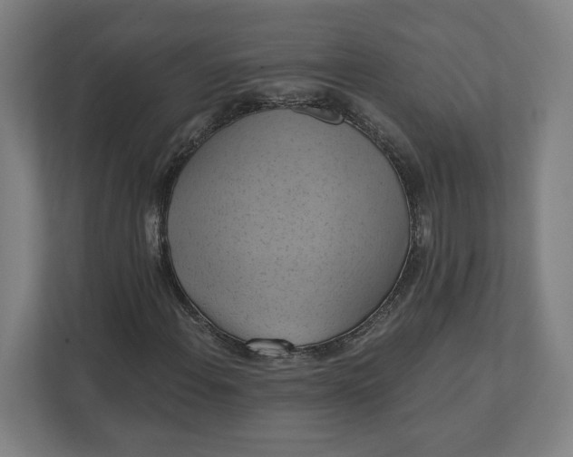 X0000112031108200908171445