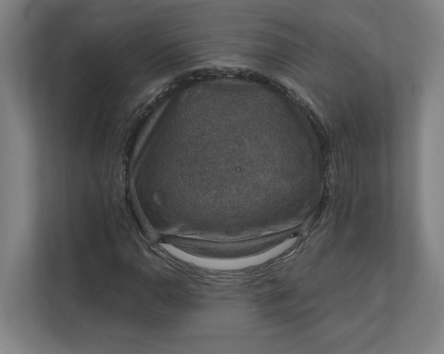 X0000112031110200908171445