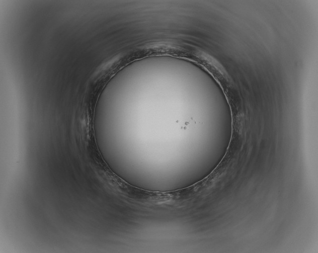 X0000112031111200908171445