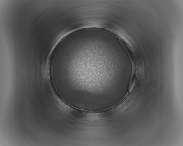 X0000112031116200908171445