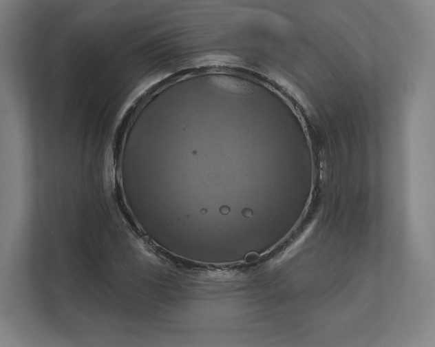 X0000112031117200908171445
