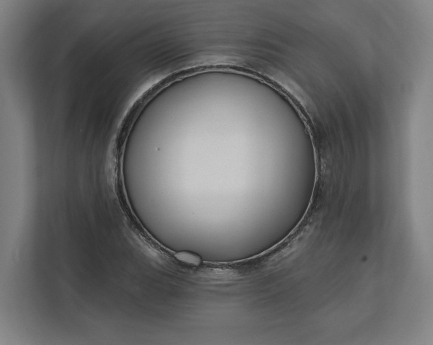 X0000112031119200908171445