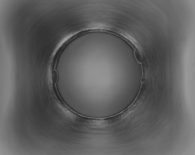 X0000112031120200908171445