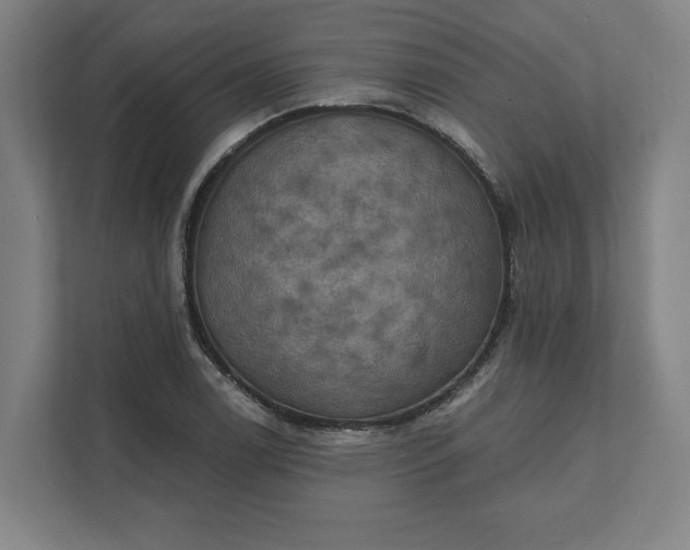 X0000112031122200908171445