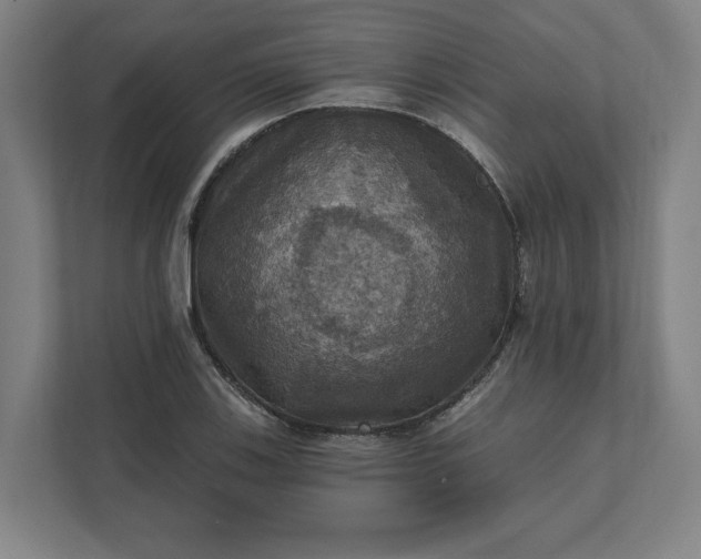 X0000112031123200908171445