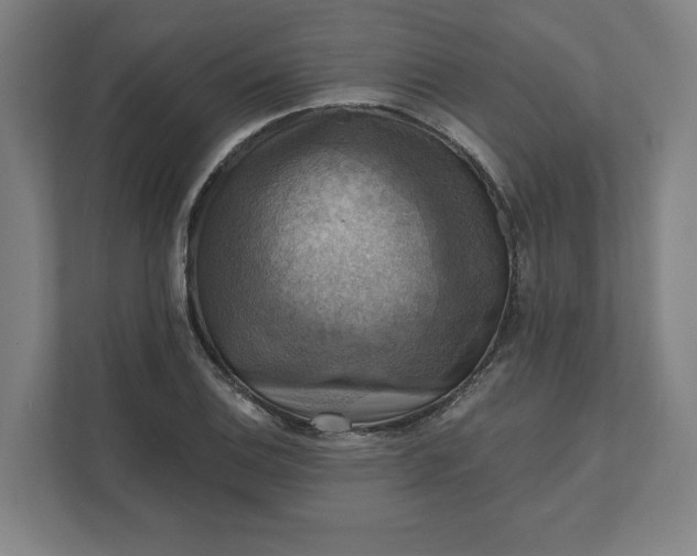 X0000112031124200908171445