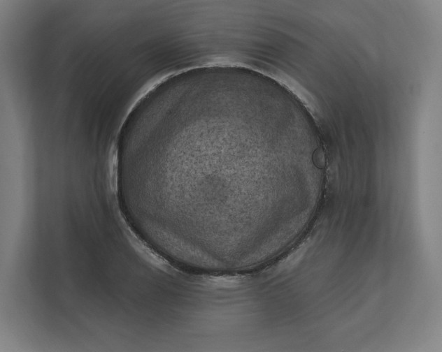 X0000112031126200908171445