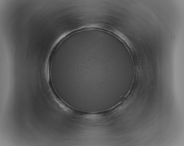 X0000112031127200908171445