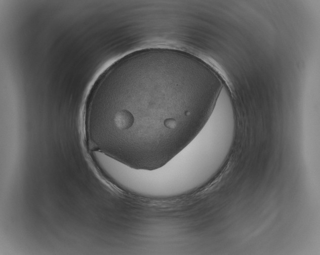X0000112031128200908171445