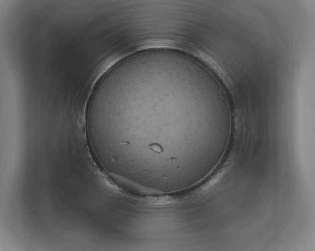 X0000112031129200908171445