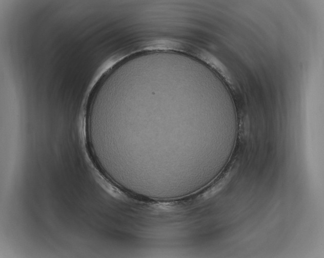 X0000112031130200908171445