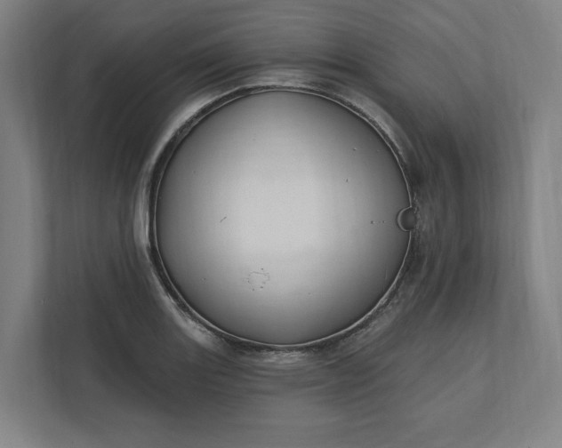 X0000112031131200908171445