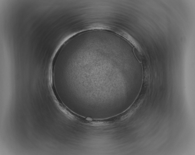 X0000112031132200908171445