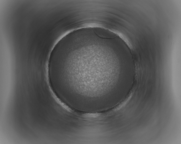 X0000112031134200908171446