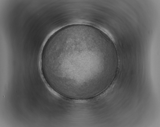 X0000112031136200908171446