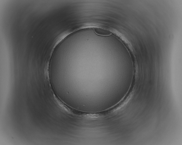 X0000112031137200908171446