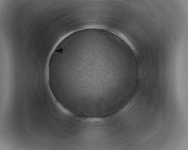 X0000112031140200908171446