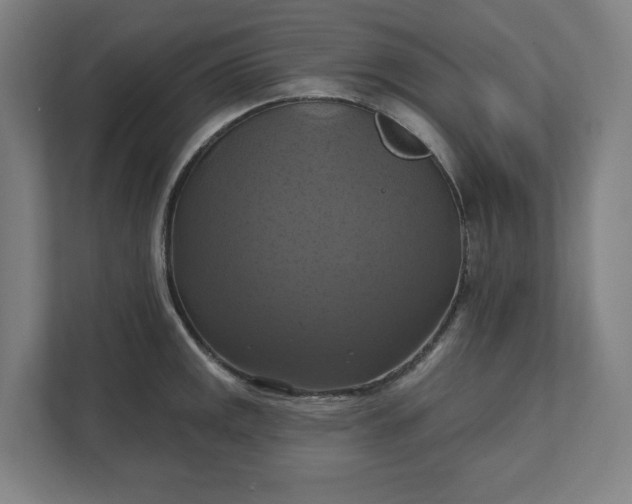 X0000112031141200908171446