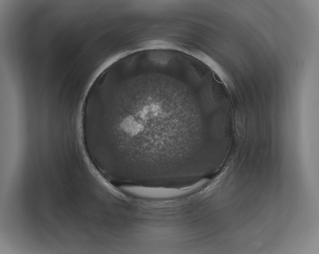 X0000112031142200908171446