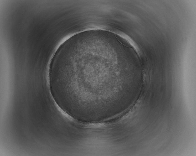 X0000112031143200908171446