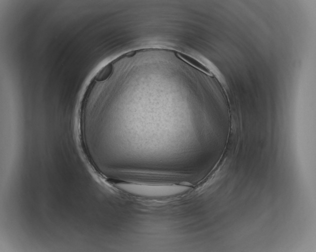 X0000112031144200908171446