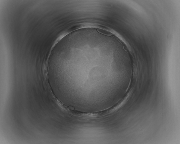 X0000112031145200908171446