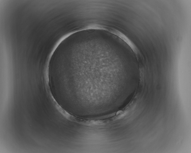 X0000112031148200908171446