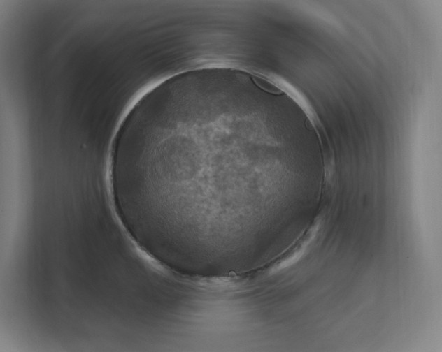 X0000112031149200908171446