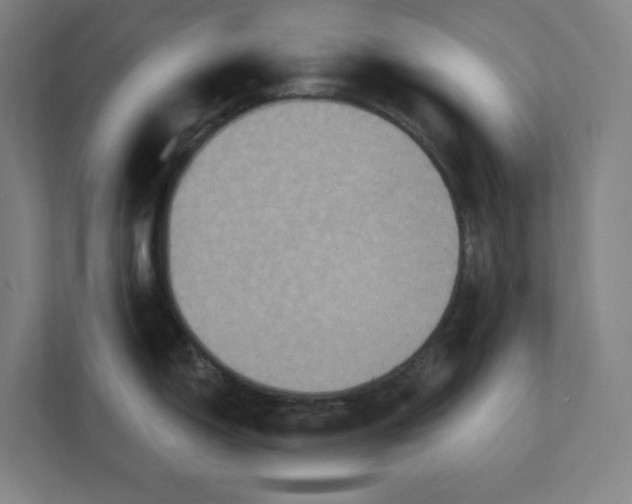 X0000112031150200908171446