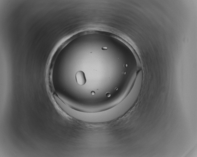 X0000112031152200908171446