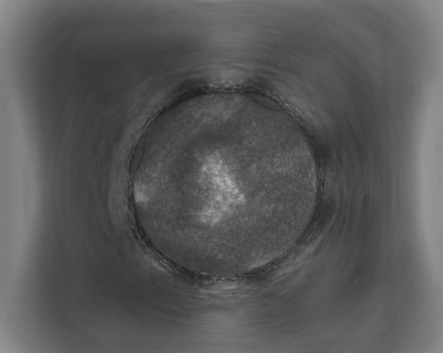 X0000112031153200908171445