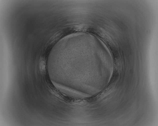 X0000112031154200908171445
