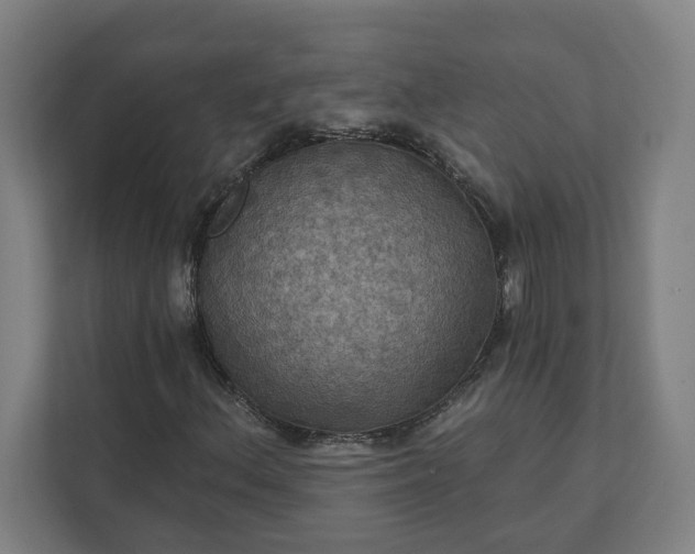 X0000112031156200908171445