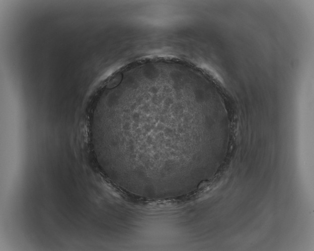 X0000112031159200908171445